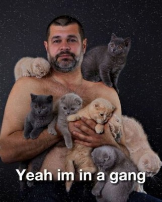 gang.jpg