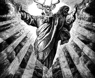 i+am+your+deer+God+now+_be552aa01b4f156cda3b830c92e776de.jpg